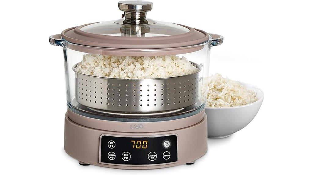 colorful glass rice cooker