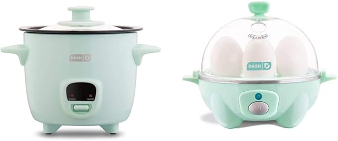 compact aqua rice egg cooker