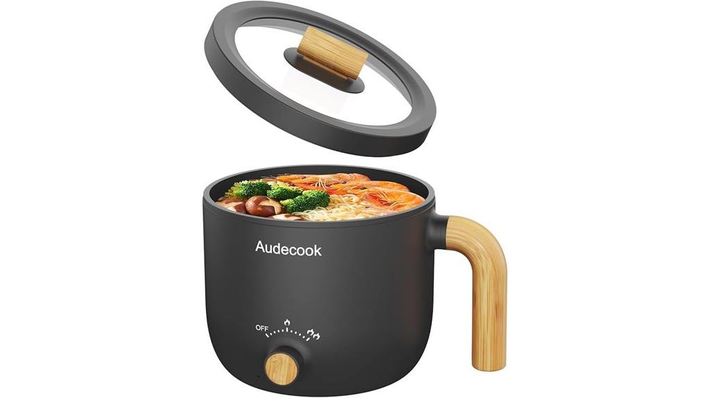 electric hot pot for noodles