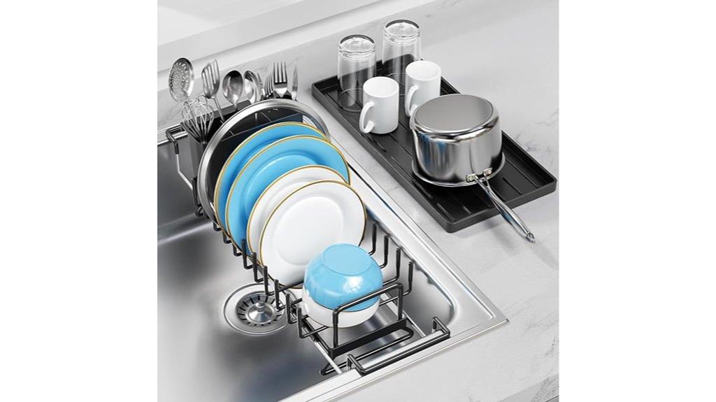 extendable sink dish rack