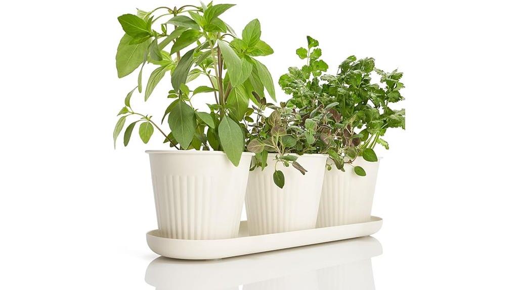 indoor herb gardening set