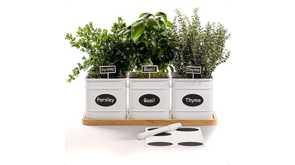 indoor herb planter set