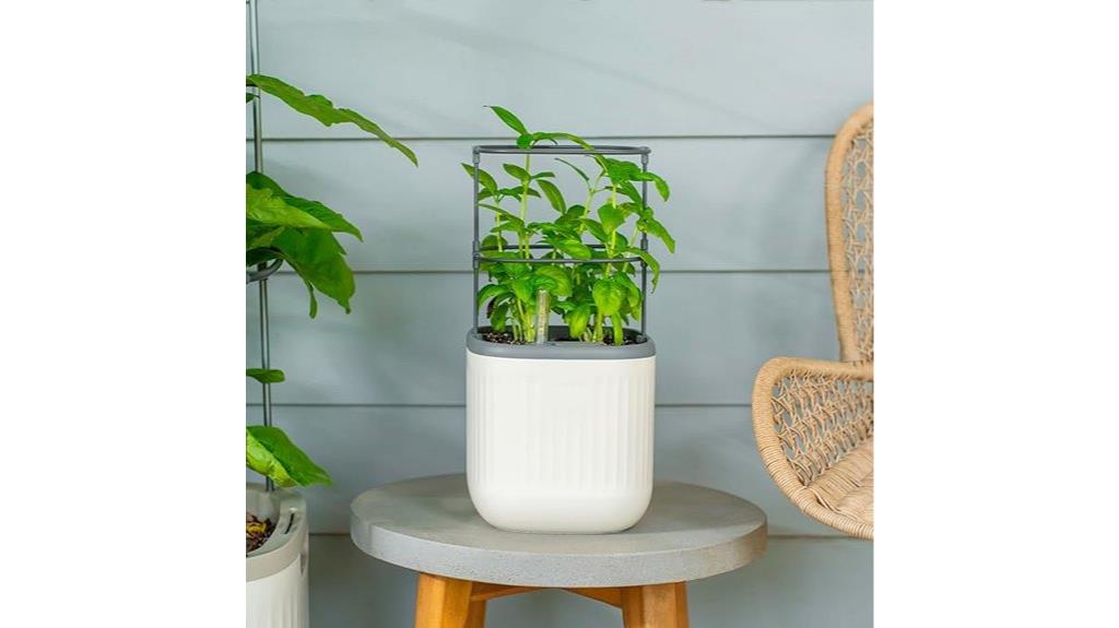 mini indoor plant pot