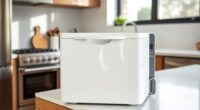 top portable dishwashers with child lock