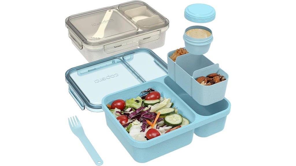 two pack lunch salad containers