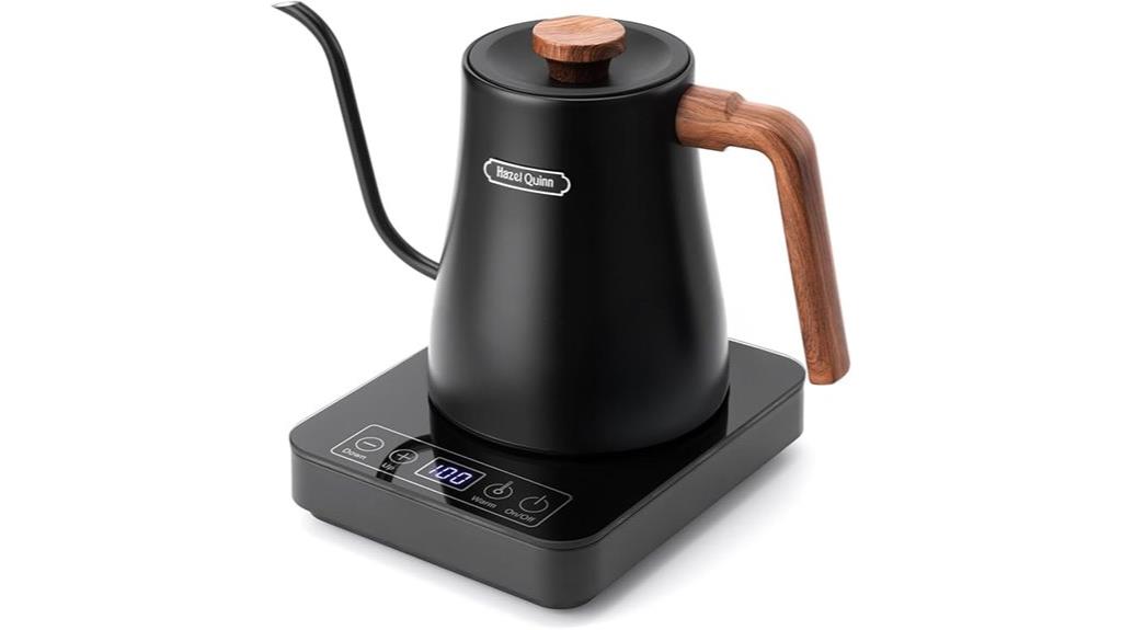 fast boiling electric kettle
