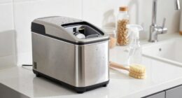 ice maker maintenance routine