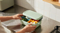 13 Best Compact Electric Lunch Box in 2026