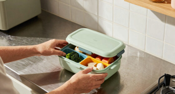 13 Best Compact Electric Lunch Box in 2026