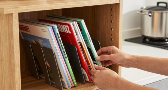 8 Best Kitchen Cabinet Magazine Holders in 2026