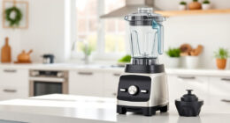How to Fix a Vitamix Blender That Keeps Burning Smell