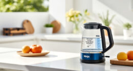 Stay Cool This Summer with the Ninja KT200BL Precision Electric Kettle