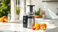 Stay Cool This Summer with the Ninja NeverClog Cold Press Juicer