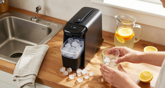 15 Best Countertop Ice Makers in 2026
