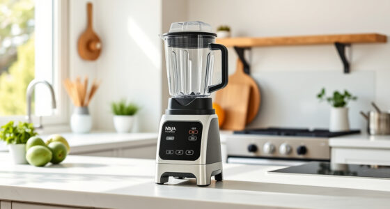 Summer Care & Troubleshooting for Your Ninja Professional Blender